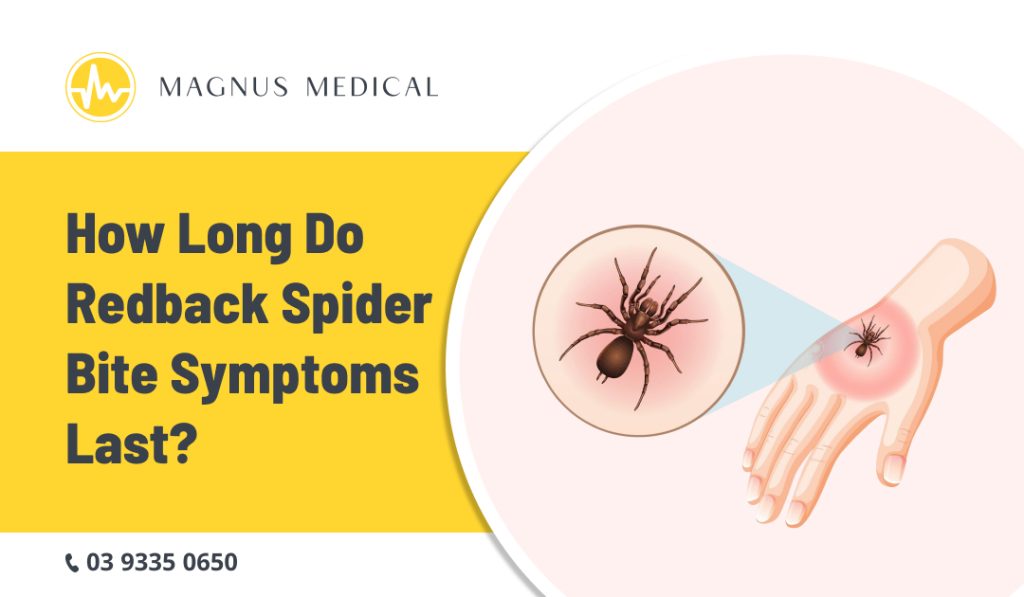 Redback Spider Bite Symptoms