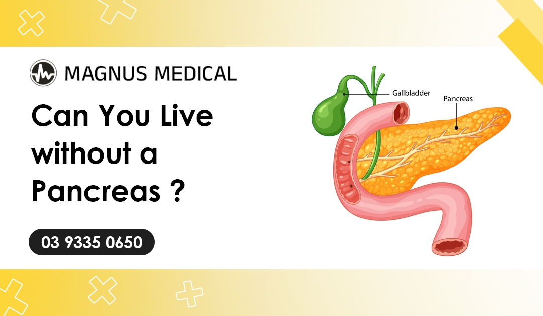 Can you live without a pancreas